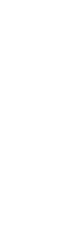 loader image